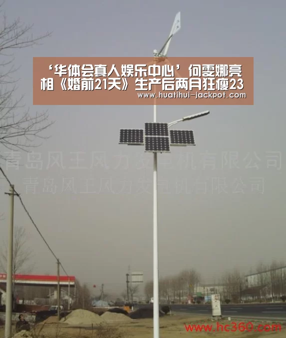华体会电子游艺
