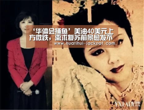 ‘华体会捕鱼’美油40美元上方微跌,需求复苏前景愈发不明朗|新冠肺炎(图2) 华体会真人娱乐中心