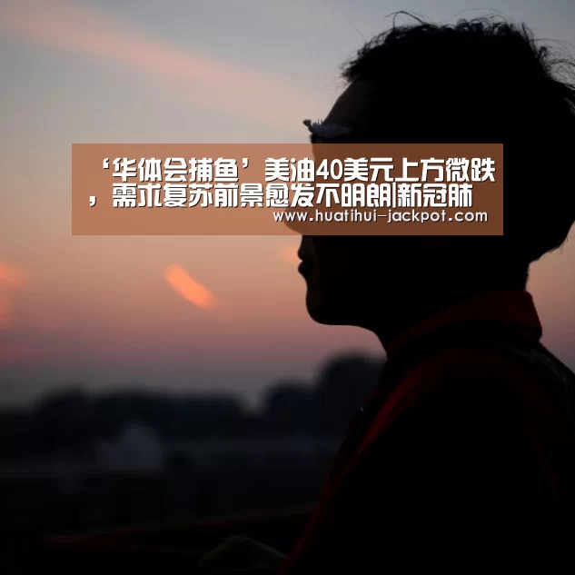‘华体会捕鱼’美油40美元上方微跌,需求复苏前景愈发不明朗|新冠肺炎(图1) 华体会真人娱乐中心