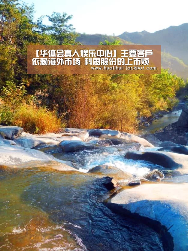 【华体会真人娱乐中心】主要客户依赖海外市场 科思股份的上市烦恼(图2) 华体会综合娱乐平台